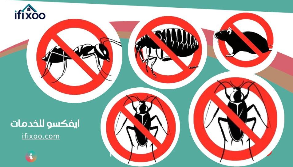 شركة مكافحة خشرات بالباحة