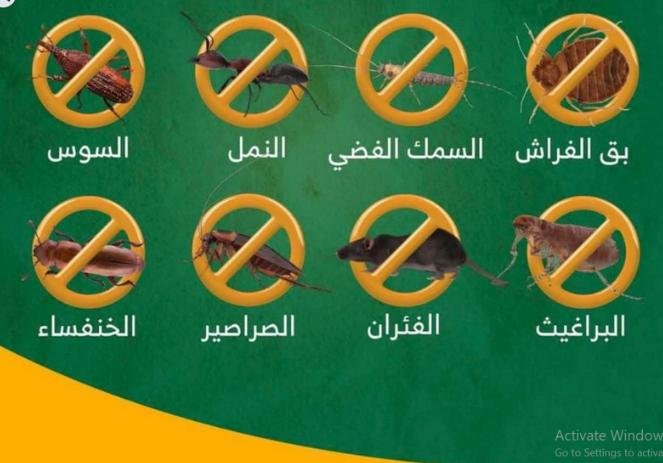 رش مبيدات ينبع