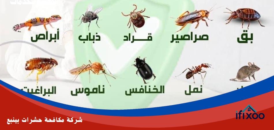مكافحة حشرات ينبع